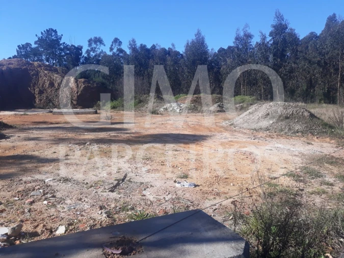 Armazém para Venda em Barrô e Aguada de Baixo Foto 2