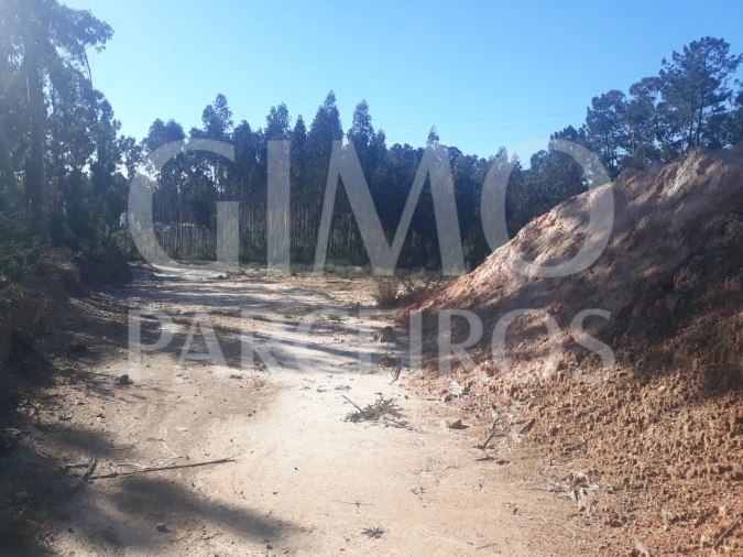 Armazém para Venda em Barrô e Aguada de Baixo Foto 4