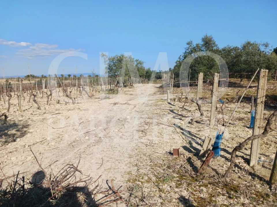 Terreno para Venda em Casal Comba Foto 12