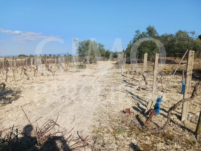 Terreno para Venda em Casal Comba Foto 12