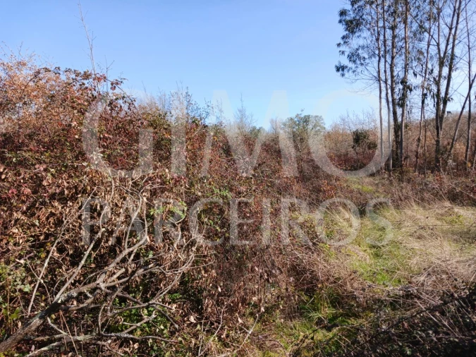 Terreno para Venda em Sangalhos Foto 3