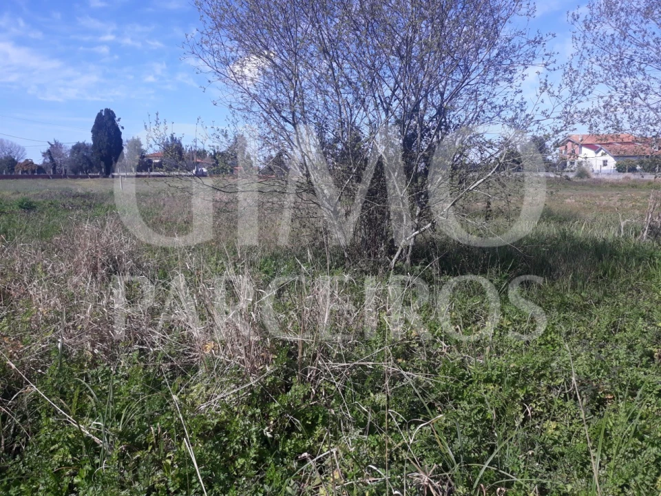 Terreno para Venda em Sangalhos Foto 2