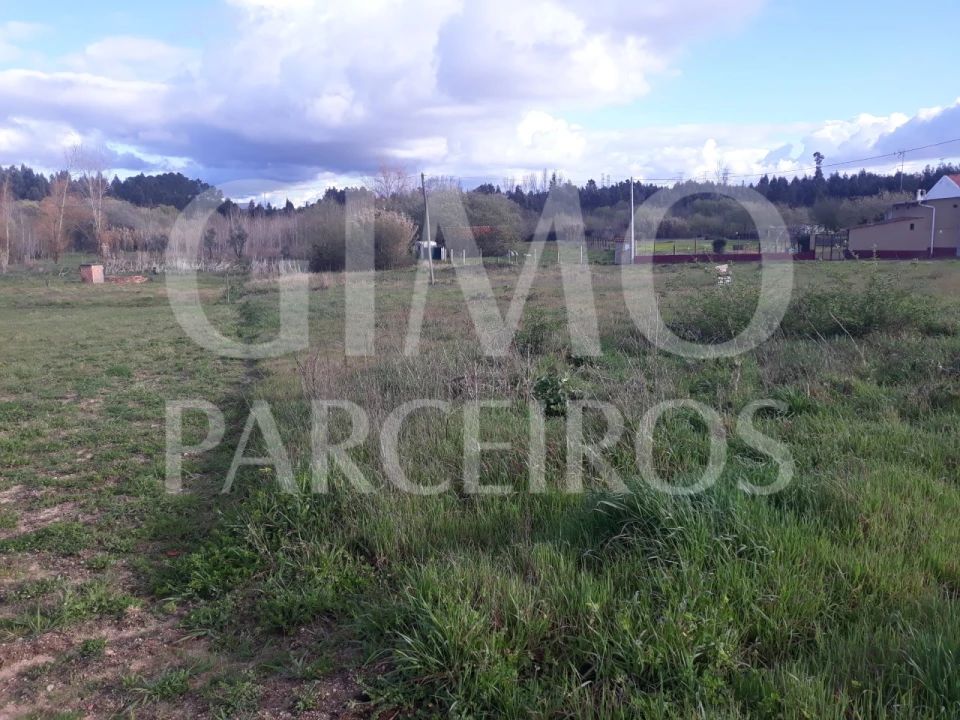 Terreno para Venda em Sangalhos Foto 11