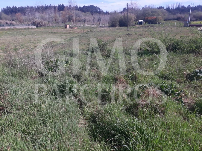 Terreno para Venda em Sangalhos Foto 7
