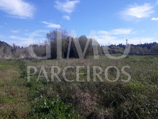 Terreno para Venda em Sangalhos Foto 9