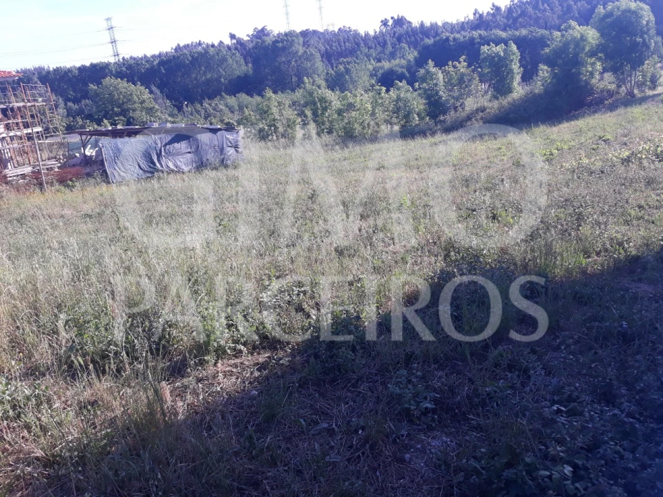 Terreno para Venda em Sangalhos Foto 6