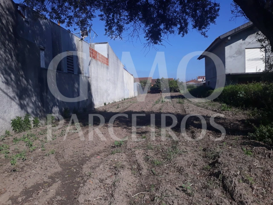 Terreno para Venda em Palhaça Foto 2