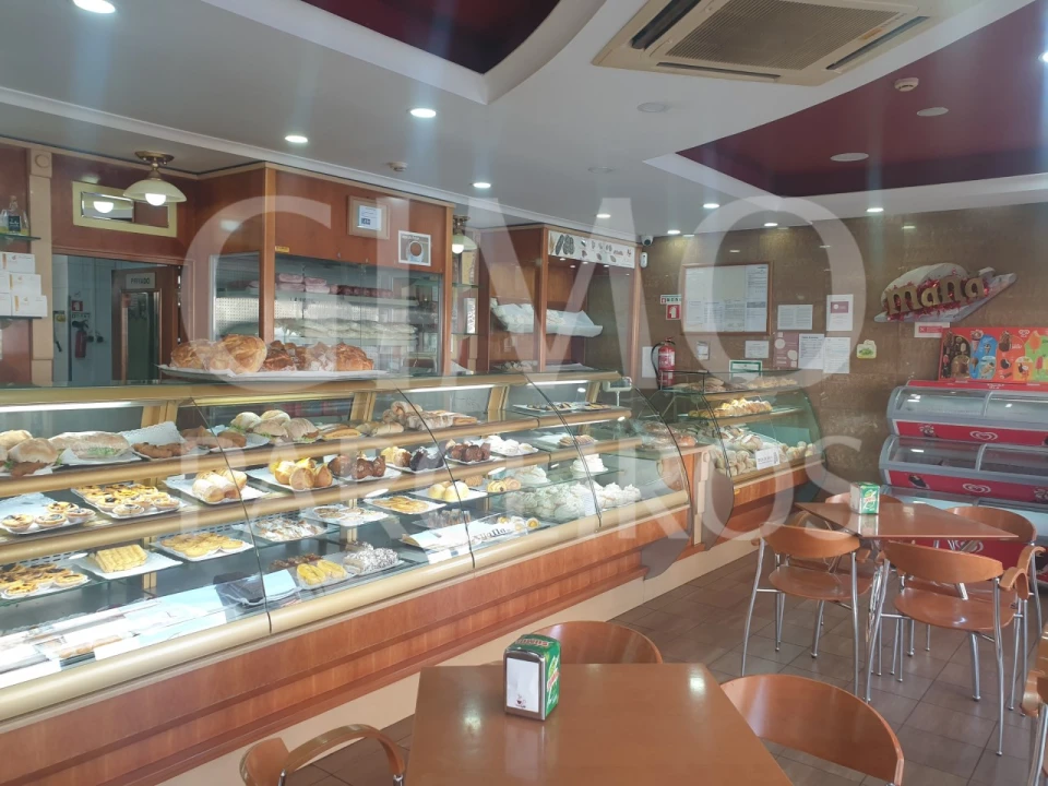 Negócio para Venda em Oliveira do Bairro Foto 1