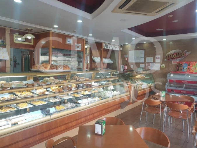 Negócio para Venda em Oliveira do Bairro Foto 1