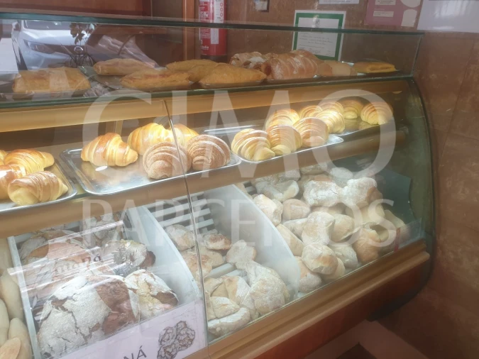 Negócio para Venda em Oliveira do Bairro Foto 2