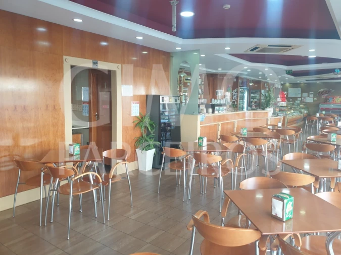 Negócio para Venda em Oliveira do Bairro Foto 4