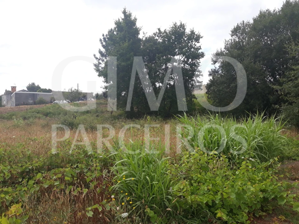 Terreno para Venda em Sangalhos Foto 3