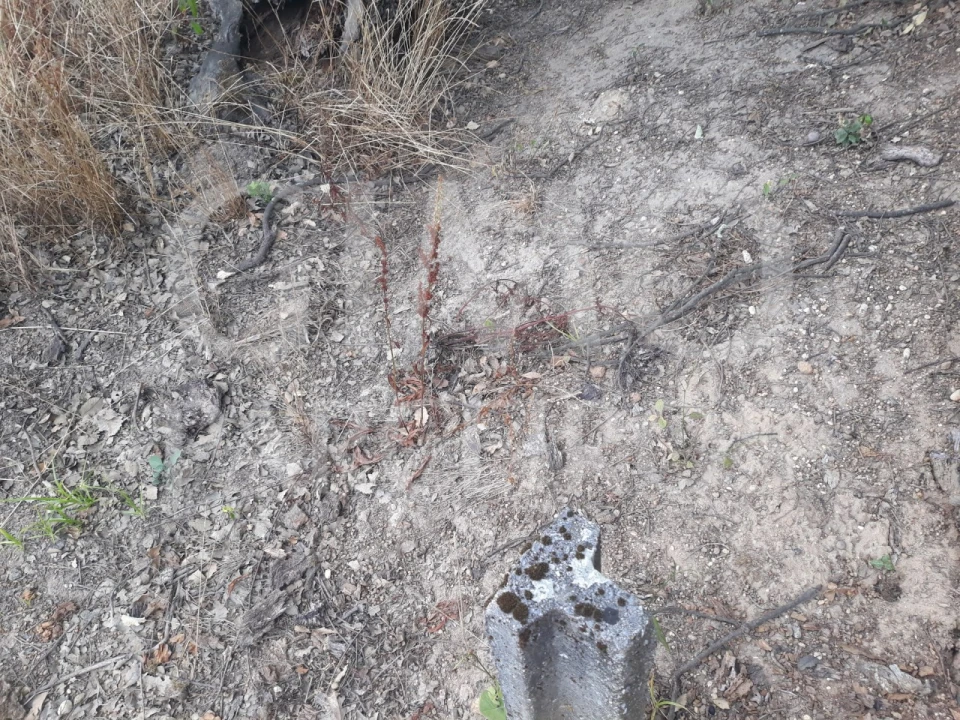 Terreno para Venda em Sangalhos Foto 8