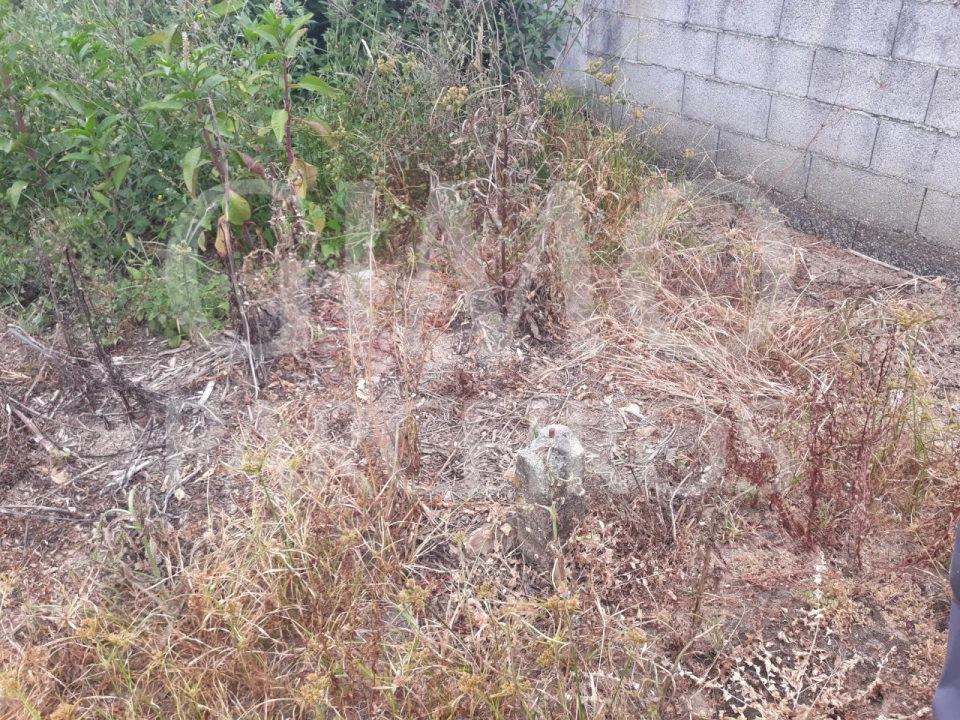 Terreno para Venda em Sangalhos Foto 9