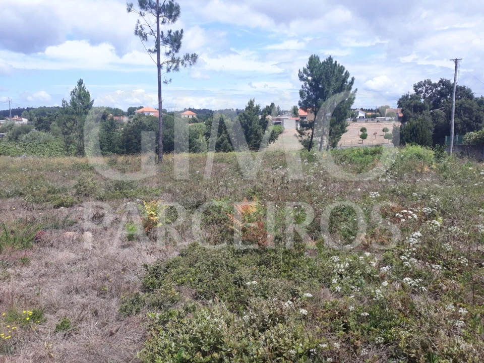 Terreno para Venda em Sangalhos Foto 11