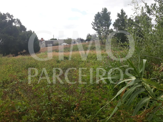 Terreno para Venda em Sangalhos Foto 2