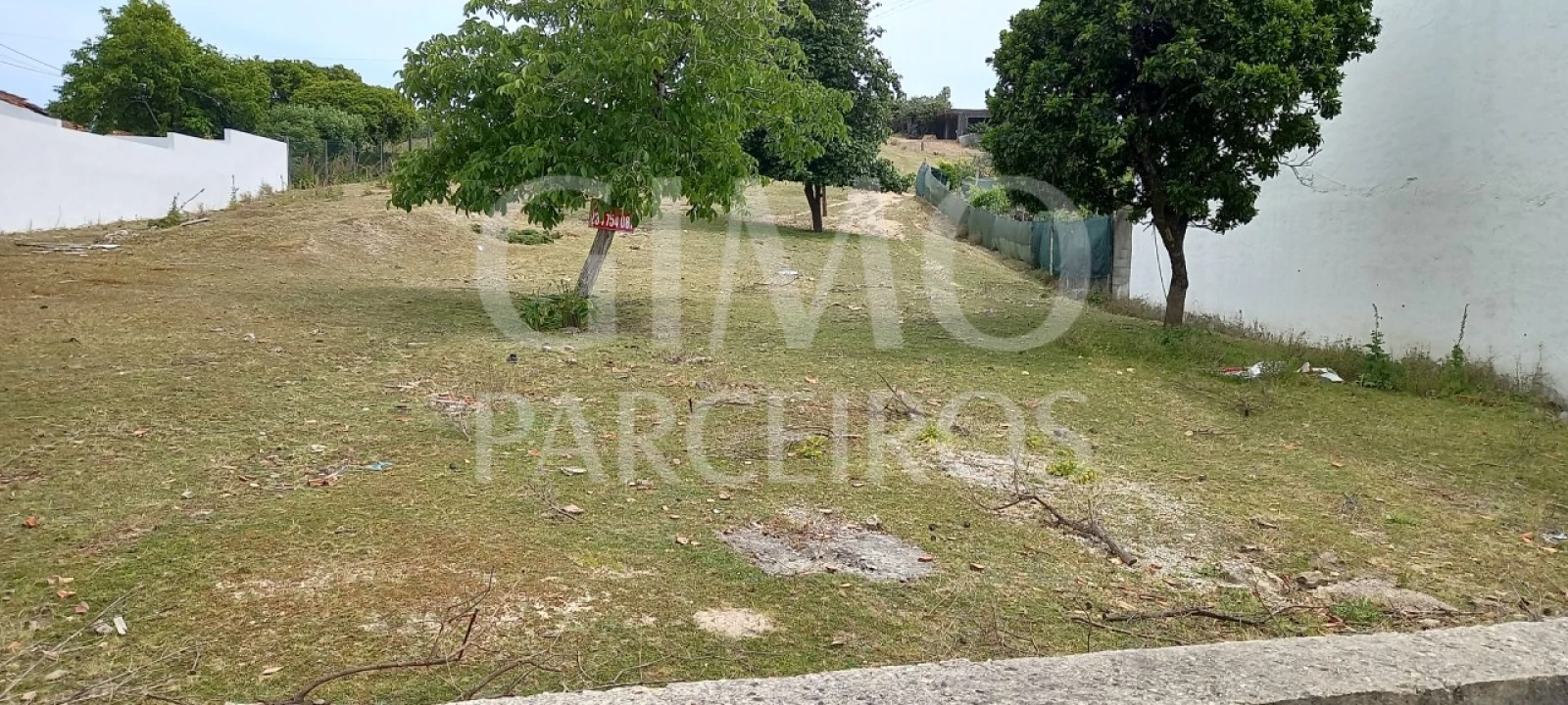 Terreno para Venda em Fermentelos Foto 2