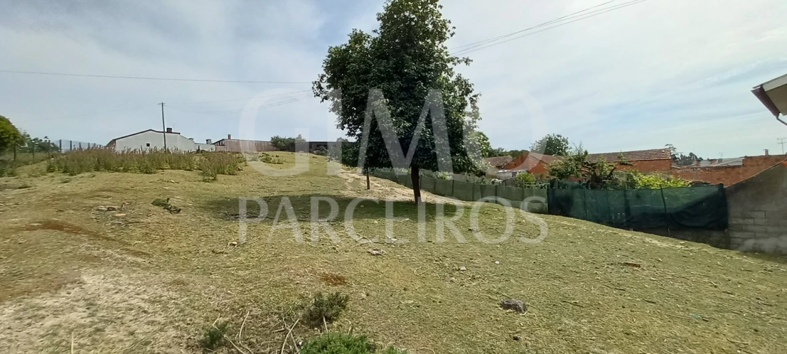 Terreno para Venda em Fermentelos Foto 7