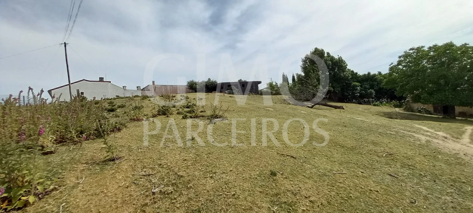 Terreno para Venda em Fermentelos Foto 9