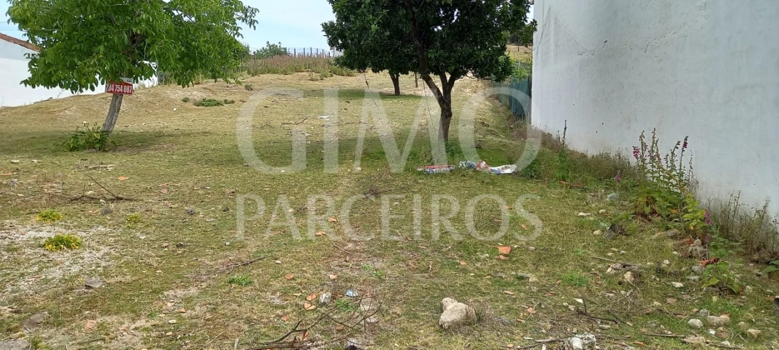 Terreno para Venda em Fermentelos Foto 3