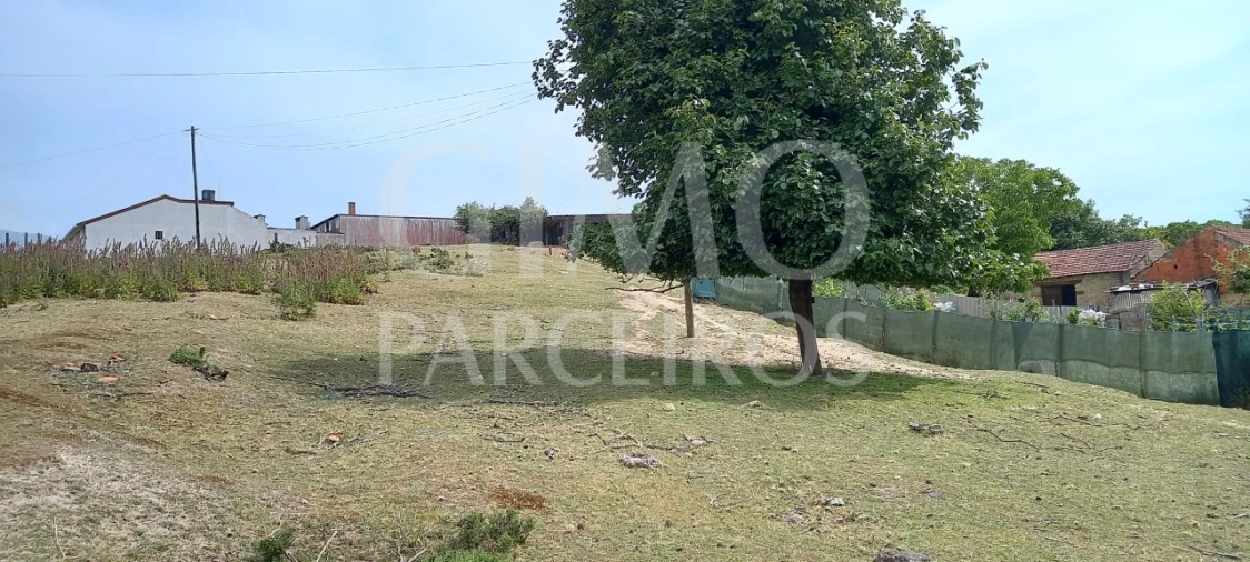 Terreno para Venda em Fermentelos Foto 5