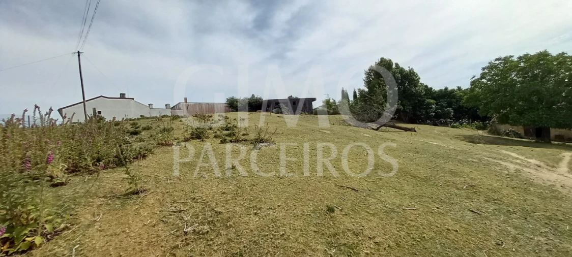 Terreno para Venda em Fermentelos Foto 9