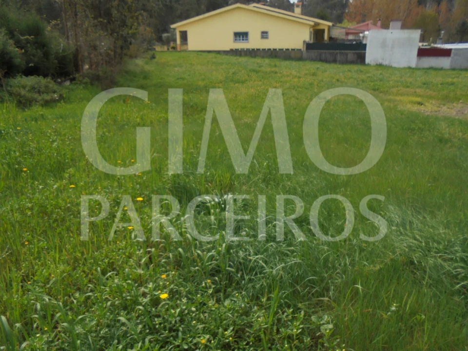 Terreno para Venda em Oiã Foto 4