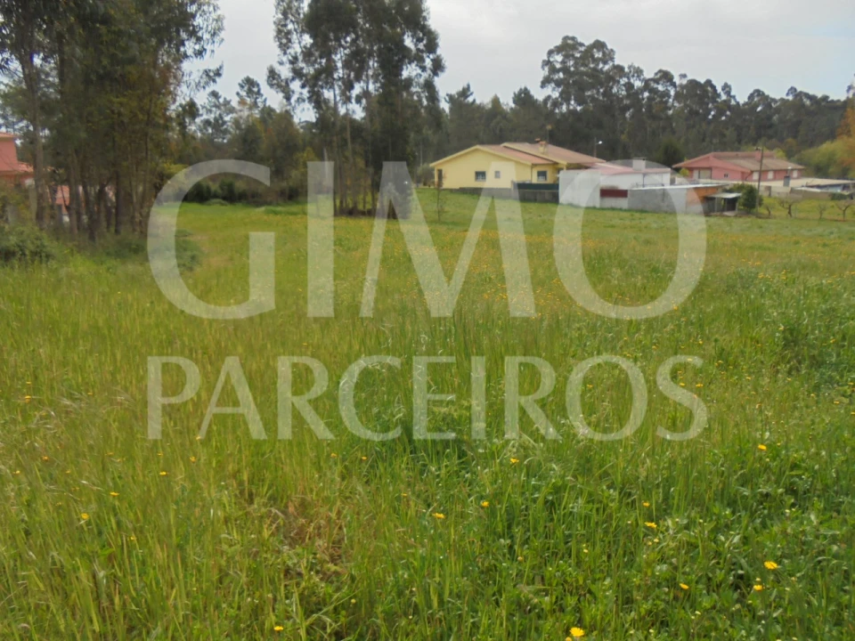 Terreno para Venda em Oiã Foto 5