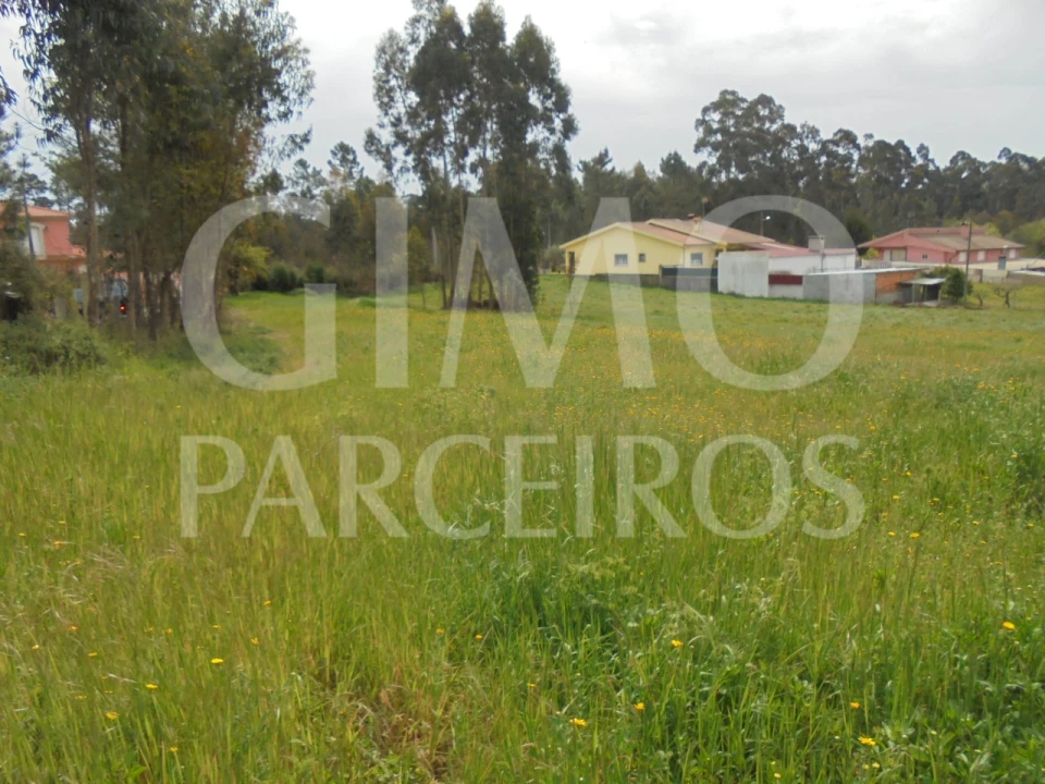 Terreno para Venda em Oiã Foto 10