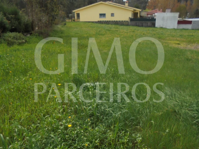 Terreno para Venda em Oiã Foto 4