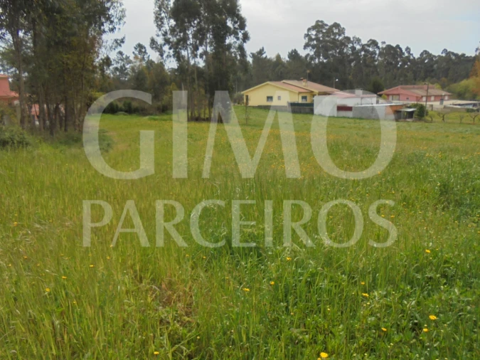 Terreno para Venda em Oiã Foto 5