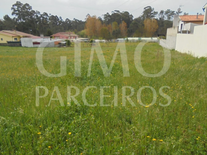 Terreno para Venda em Oiã Foto 9