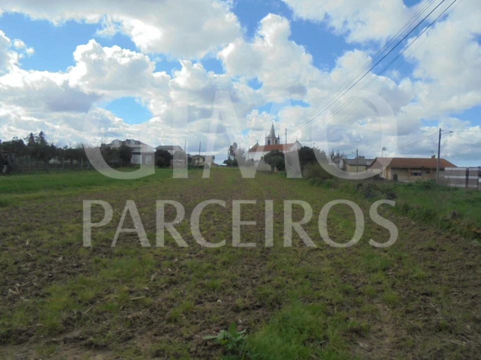 Terreno para Venda em Bustos, Troviscal e Mamarrosa Foto 5