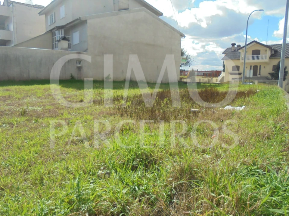 Terreno para Venda em Bustos, Troviscal e Mamarrosa Foto 9