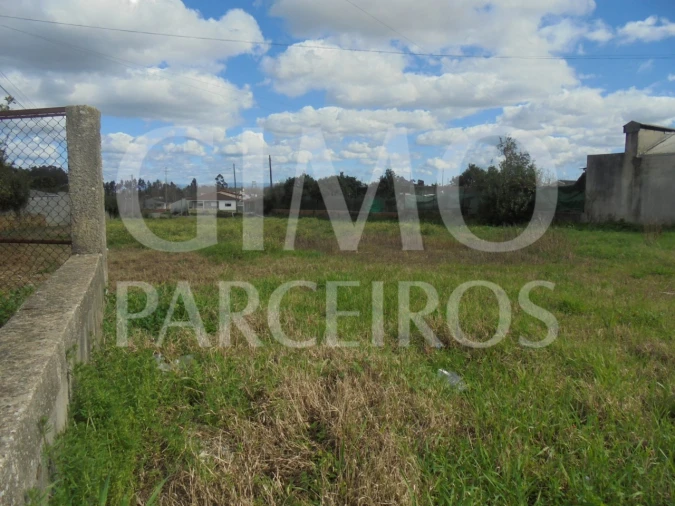 Terreno para Venda em Bustos, Troviscal e Mamarrosa Foto 6