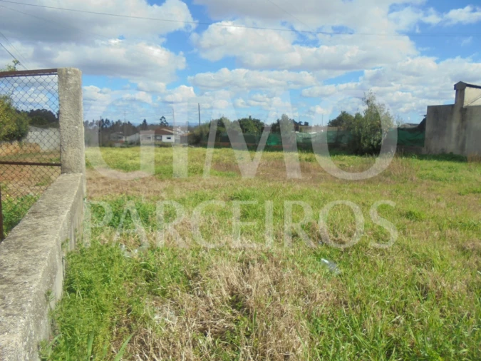 Terreno para Venda em Bustos, Troviscal e Mamarrosa Foto 10