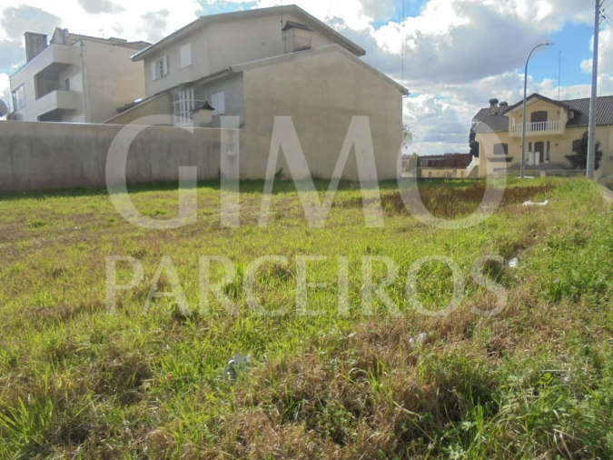 Terreno para Venda em Bustos, Troviscal e Mamarrosa Foto 12