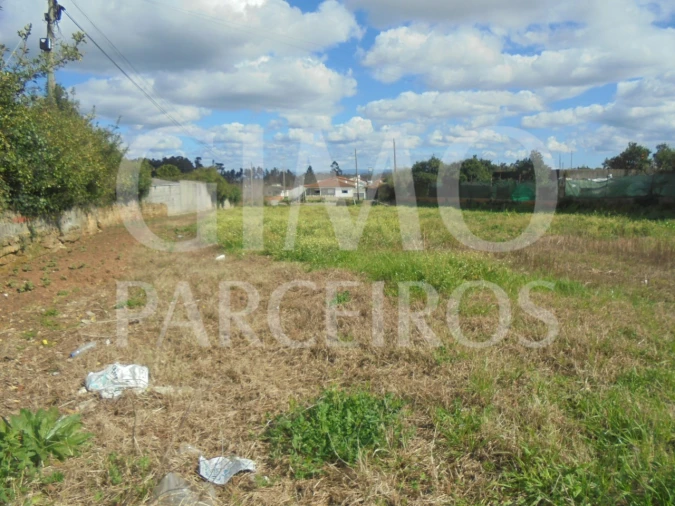 Terreno para Venda em Bustos, Troviscal e Mamarrosa Foto 13