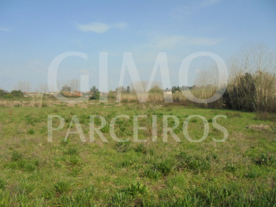 Terreno para Venda em Bustos, Troviscal e Mamarrosa Foto 8