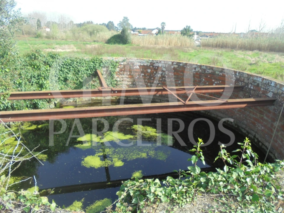 Terreno para Venda em Bustos, Troviscal e Mamarrosa Foto 18