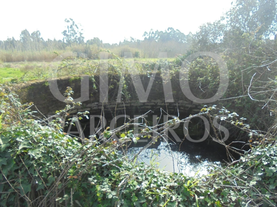 Terreno para Venda em Bustos, Troviscal e Mamarrosa Foto 20