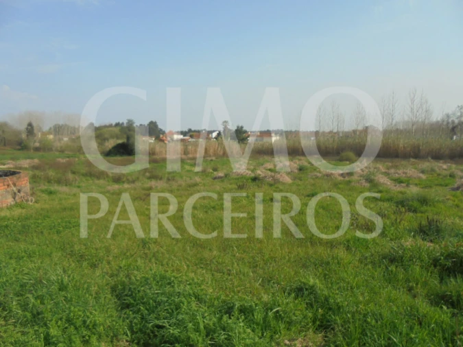 Terreno para Venda em Bustos, Troviscal e Mamarrosa Foto 15