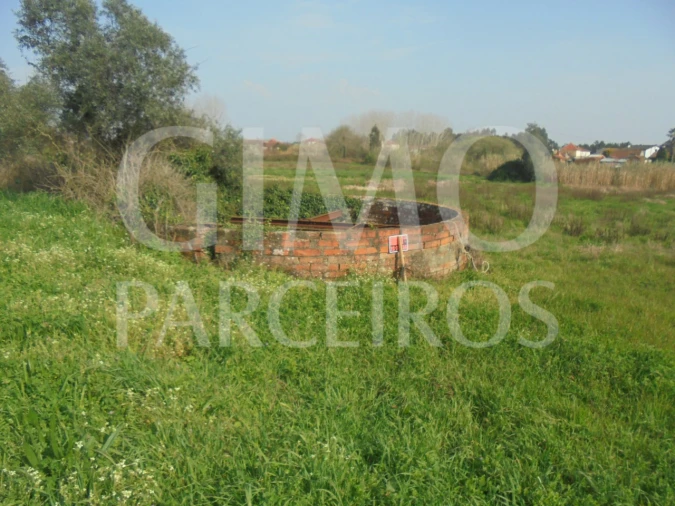 Terreno para Venda em Bustos, Troviscal e Mamarrosa Foto 17