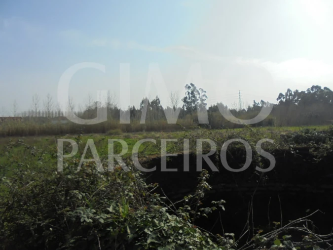 Terreno para Venda em Bustos, Troviscal e Mamarrosa Foto 21