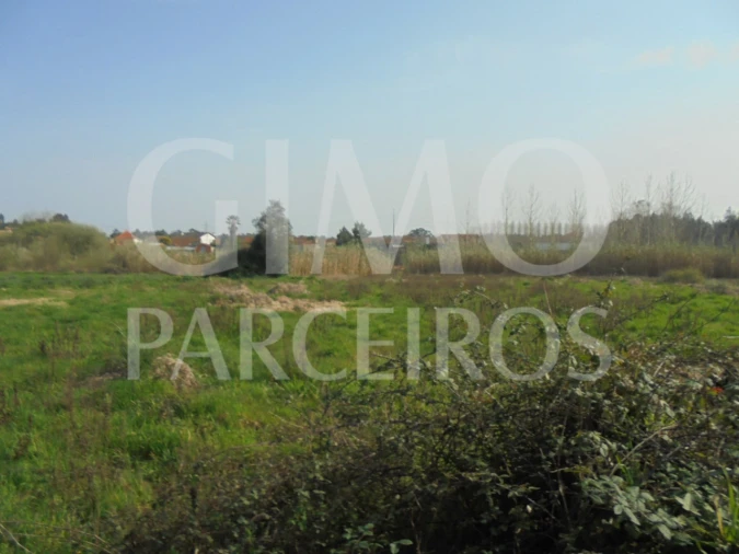 Terreno para Venda em Bustos, Troviscal e Mamarrosa Foto 23