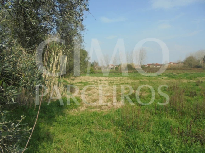 Terreno para Venda em Bustos, Troviscal e Mamarrosa Foto 24