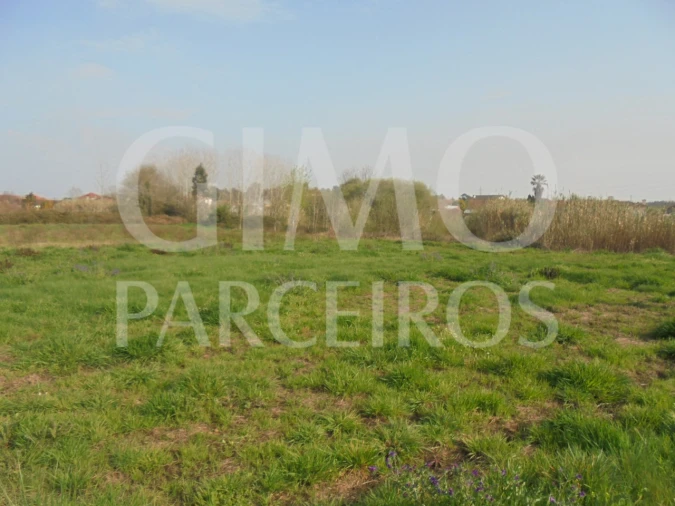 Terreno para Venda em Bustos, Troviscal e Mamarrosa Foto 26