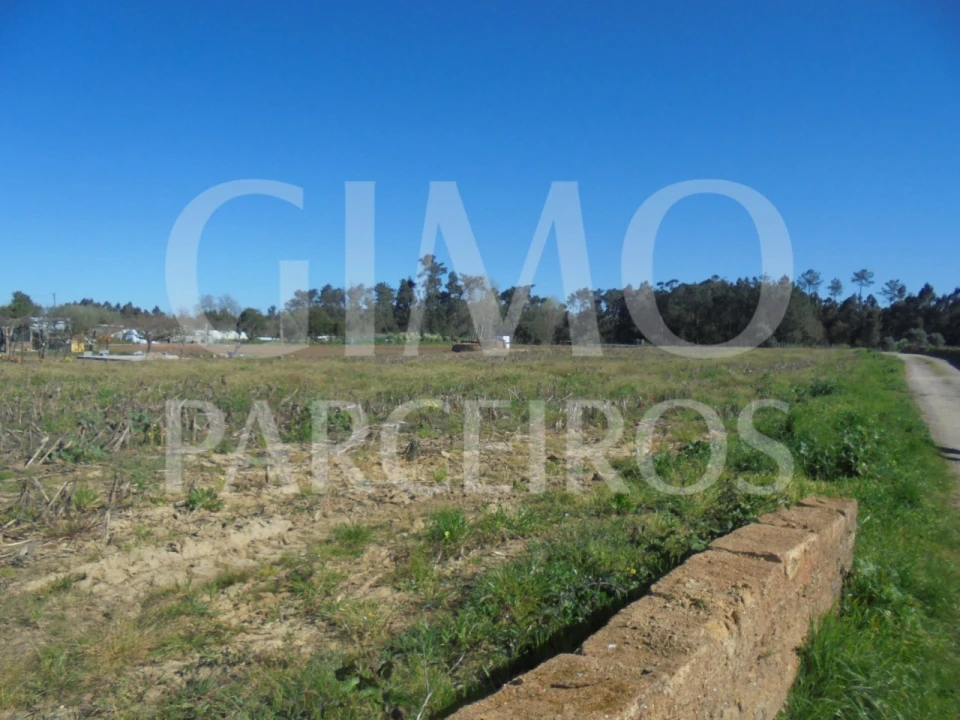 Terreno para Venda em Oiã Foto 2