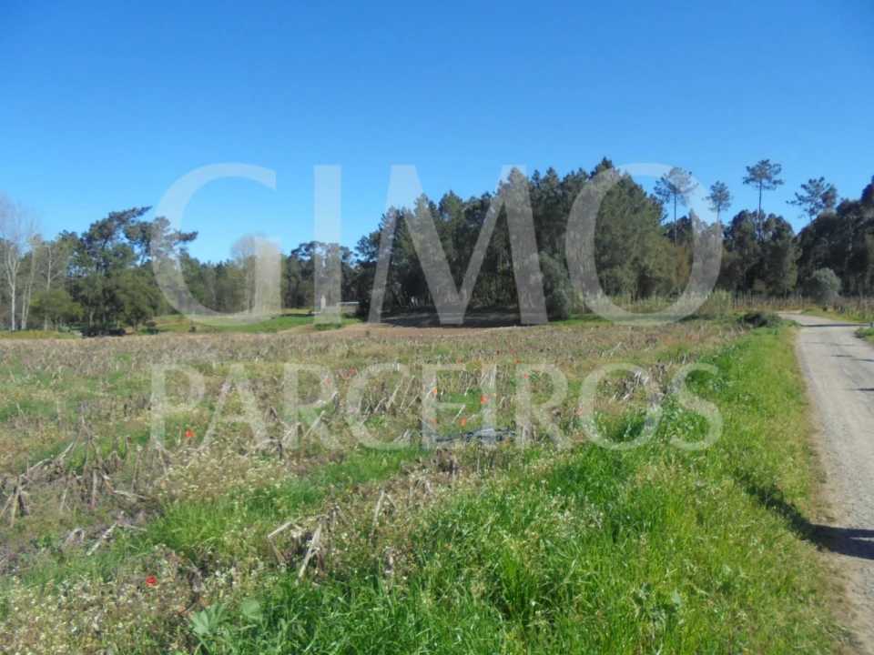 Terreno para Venda em Oiã Foto 4