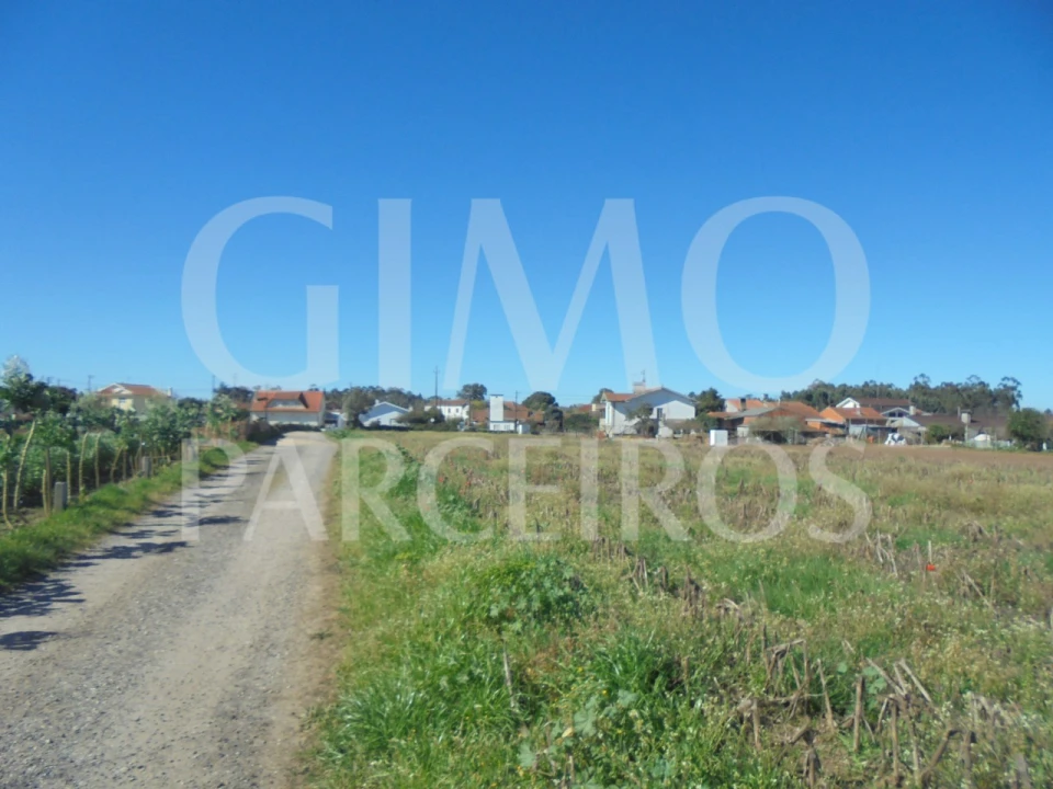 Terreno para Venda em Oiã Foto 5